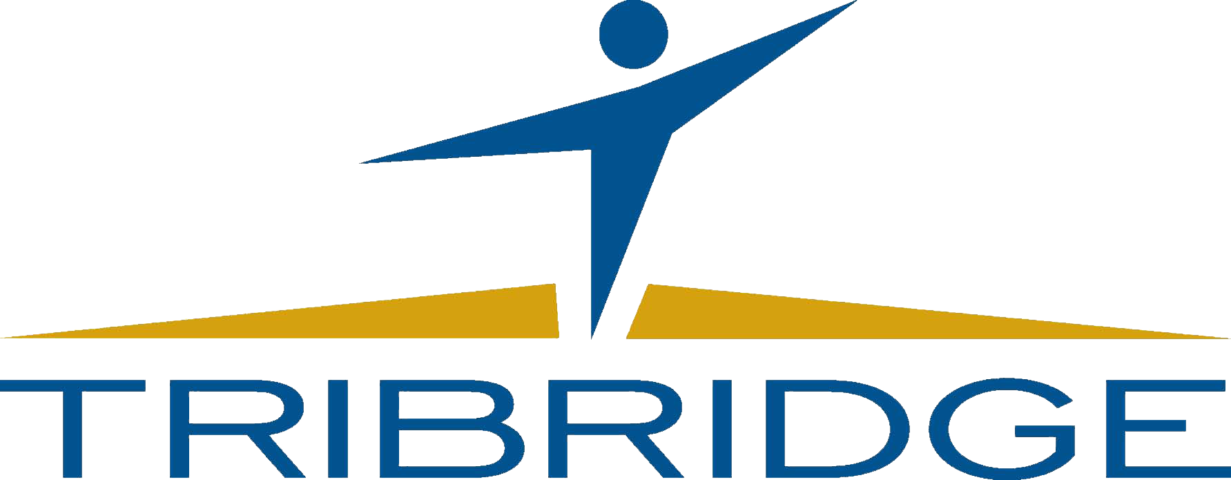 Tribridge
