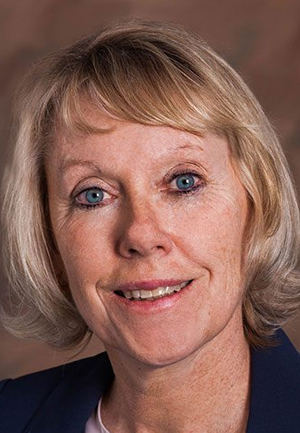 mary-ann-christopher-llr-2019-year-in-review
